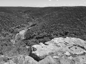 lost maples in the hill country