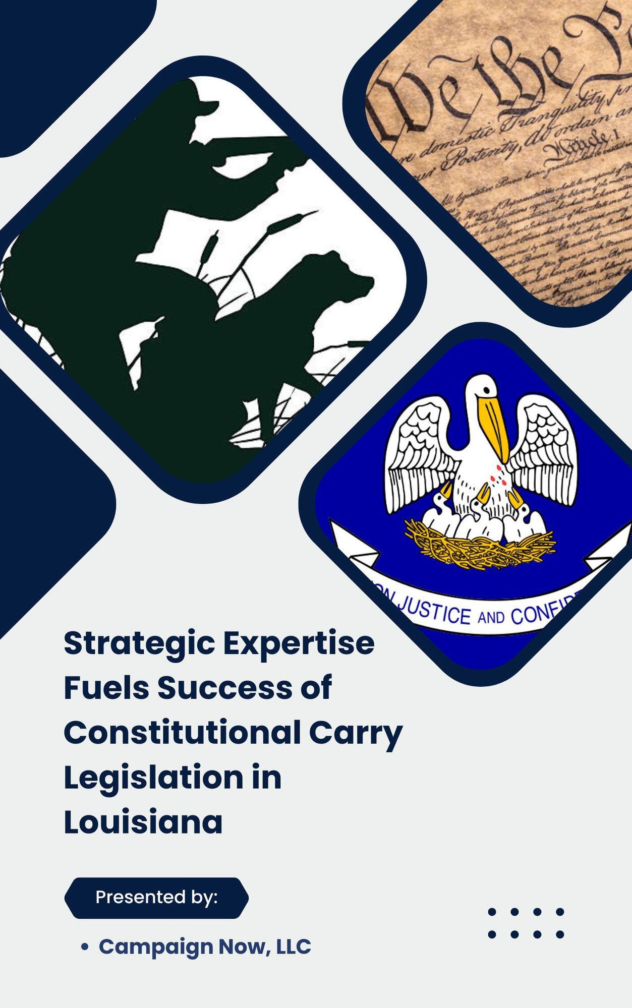 _Strategic Expertise Fuels Success of Constitutional Carry Legislation in Louisiana (1)